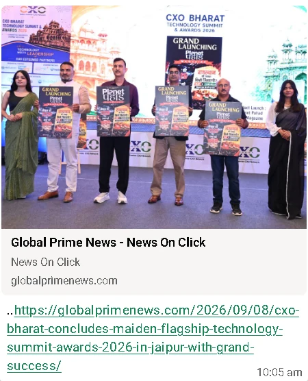 NetLogic Solutions — press article